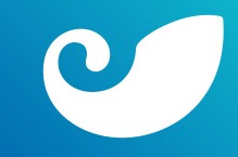 IM 钱包支持 USDT 吗？全面解析助你明晰